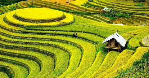 Hotspot Matrix đồng hành cùng Ngày hội Ý tưởng Khởi nghiệp tại UEL_Quỹ đầu tư khởi nghiệp